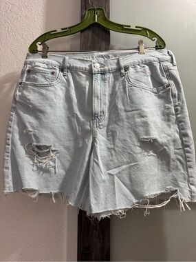 American Eagle Outfitters Light Blue Distressed Denim Shorts